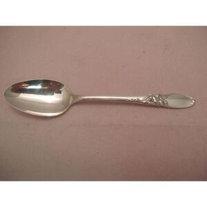Oneida White Orchid Dinner Teaspoon Spoon (s)‎
